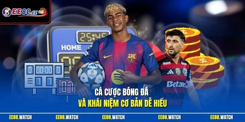 Cá cược bóng đá và khái niệm cơ bản dễ hiểu