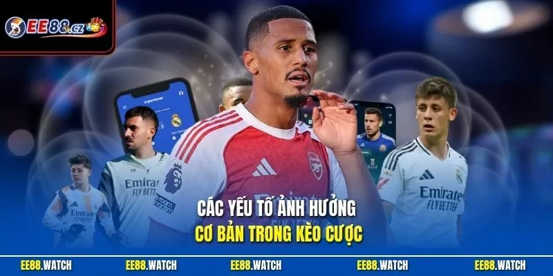 Các yếu tố ảnh hưởng cơ bản trong kèo cược