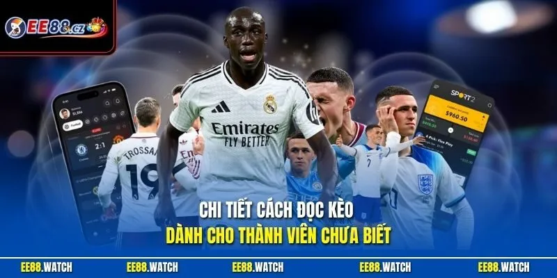 Chi tiết cách đọc kèo dành cho thành viên chưa biết