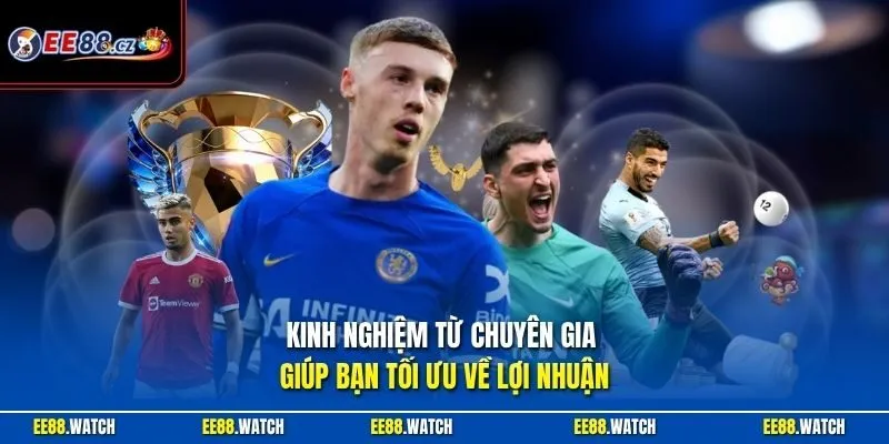 Kinh nghiệm từ chuyên gia giúp bạn tối ưu về lợi nhuận