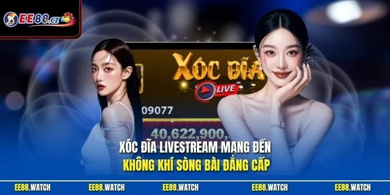 Xóc đĩa livestream mang đến không khí sòng bài đẳng cấp